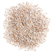 Lettuce Seeds - All In One For Home Gardens