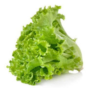 Light Green Lettuce Seeds