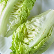 Gem Romaine Lettuce Seeds