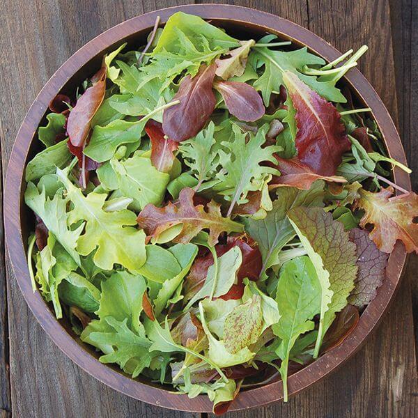 Mesclun Mix Lettuce Seeds