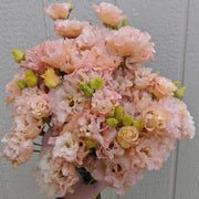 Lisianthus Seeds - for Home Gardens Seeds