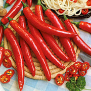 Red Thick Cayenne Pepper Seeds