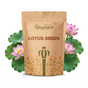 Lotus Seeds (Nelumbo nucifera)