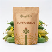 Luffa Seeds – Luffa aegyptiaca