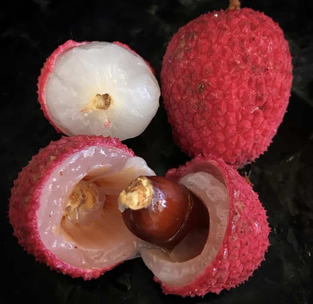 Brewster Lychee Seeds