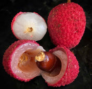 Brewster Lychee Seeds