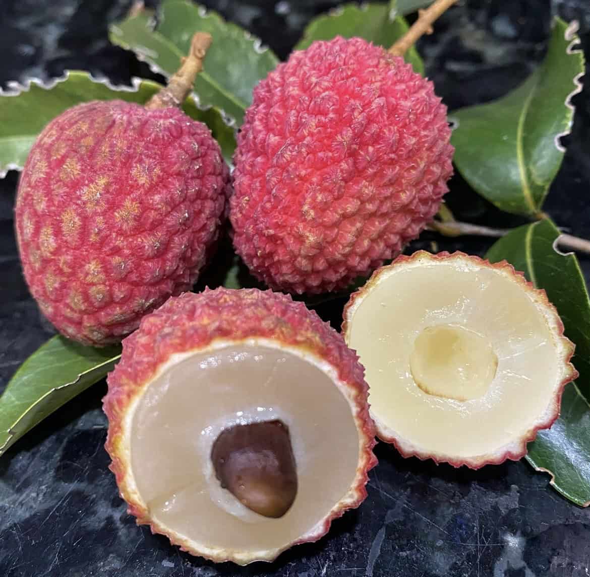 Hak Ip Lychee Seeds
