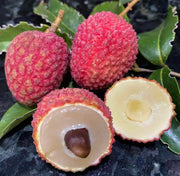 Hak Ip Lychee Seeds