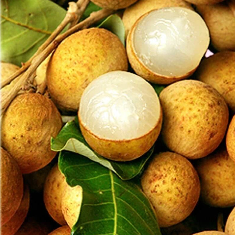Yellow Lychee Seeds