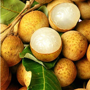 Yellow Lychee Seeds
