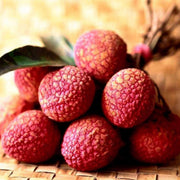 Hak Ip Lychee Seeds