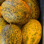 Dosakai Melon Seeds