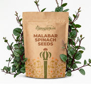 Malabar Spinach Seeds – Basella alba