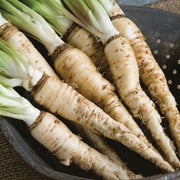 Mammoth French White Seeds - Vegetable Plant