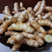 White Brown Ginger Seeds, Herbal