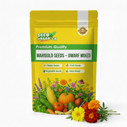 French Seeds, Tagetes patula