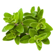 Sweet Marjoram Seeds, Herbal