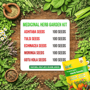 Medicinal Herb Garden Kit