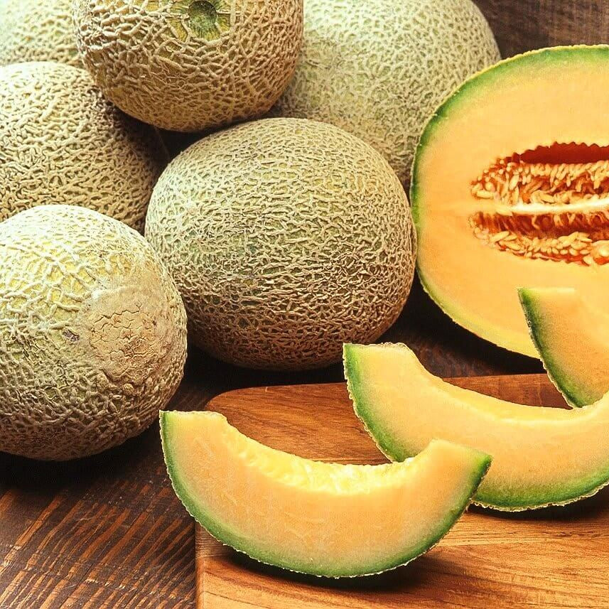 Brown Cantaloupe Melon Seeds