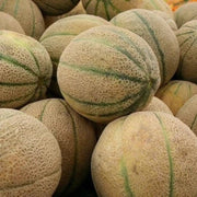 Brown Muskmelon Melon Seeds