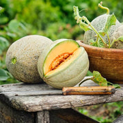 Cantaloupe Melon Seeds, Vegetabe