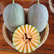 Chinese Hami Melon Seeds