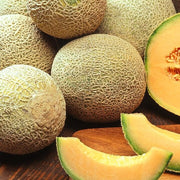 European Cantaloupe Melon Seeds