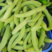 Green Long Melon Seeds