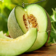 Green Muskmelon Melon Seeds
