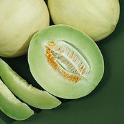 Green White Cantaloupe Melon Seeds