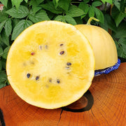 Lemon Drop Melon Seeds