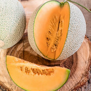 Light Orange Cantaloupe Melon Seeds
