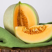 Loupe Melon Seeds