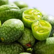Mini Melon Seeds