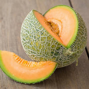 Minnesota Cantaloupe Melon Seeds