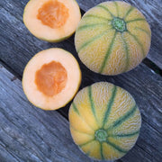 Minnesota Melon Seeds