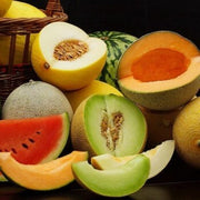 Mixed Cantaloupe Melon Seeds