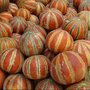Mixed Kajari Melon Seeds