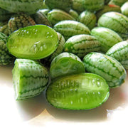 White Cantaloupe Mouse Melon Seeds