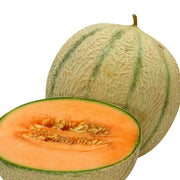 Musk Melon Seeds