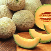 Musk Melon Seeds