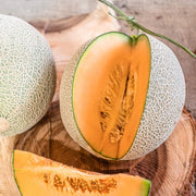 Orange Cantaloupe Melon Seeds