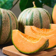 Orange Cantalupo Almizcle Melon Seeds, Vegetabe