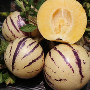 Pear Melon Seeds