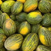 Piel de Sapo Melon Seeds, Vegetabe