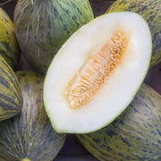 Pinonet Melon Seeds