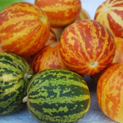 Pocket Melon Seeds
