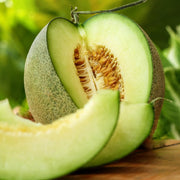 Rocky Ford Green Flesh Melon Seeds