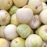 Sakata's Sweet Melon Seeds