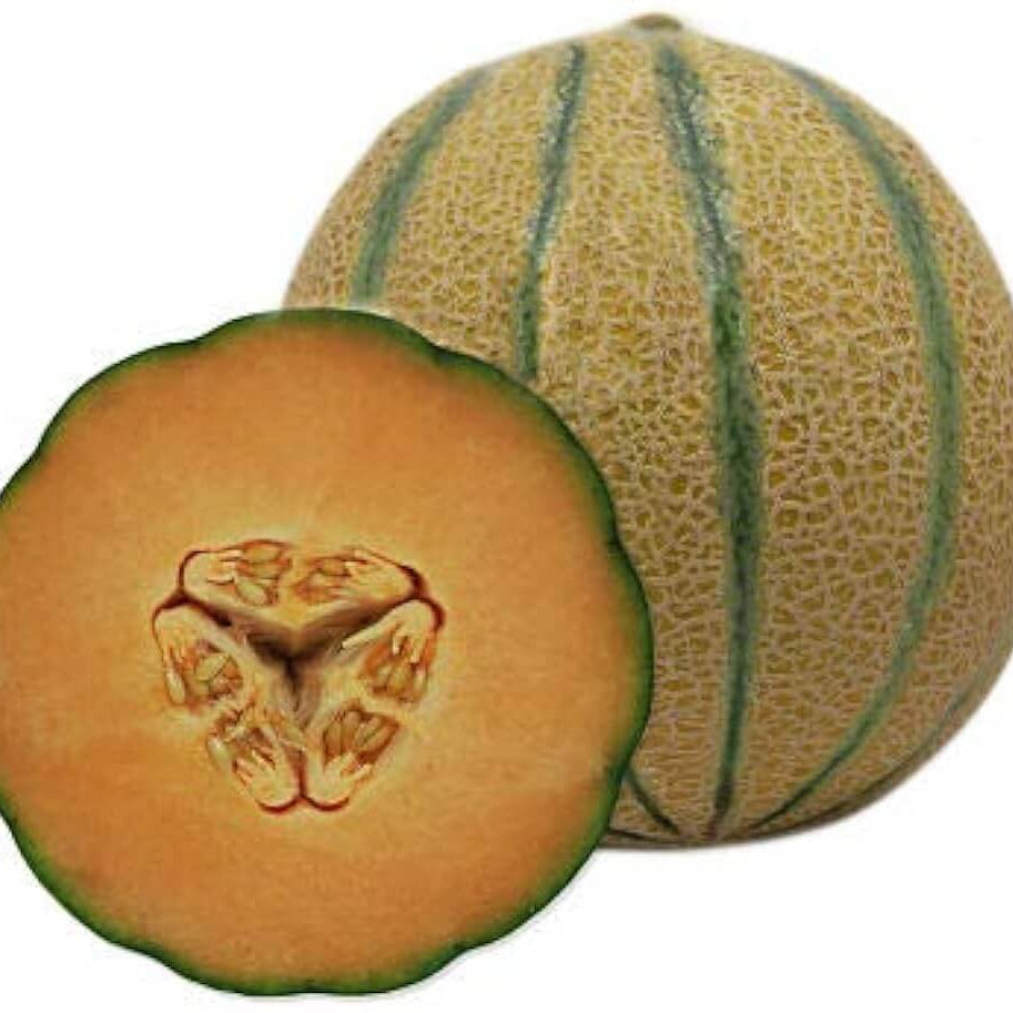 Brown Muskmelon Melon Seeds